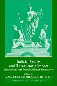Image of Judicial Review and Bureaucratic Impact: International and Interdisciplinary Perspectives