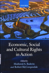 Image of Economic, social and cultural rights in action
