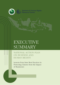 Image of Executive Summary : National Action Plan on Business and Human Rights : Lessons from State Best Practices in Protecting Citizens from the Impact of Business